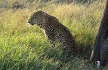 3 Days Serengeti & Ngorongoro Tour