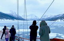 Tromso Luxury Sailing Yacht Polar Fjord Cruise with Lunch