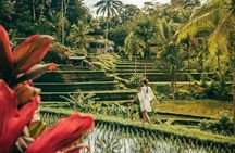 Bali BEST Things to Do Private Full-day Tour from Your Hotel