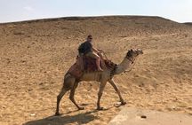 Giza Pyramids and Sphinx half day tour