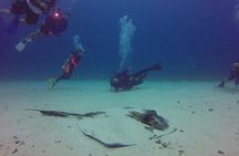 St Maarten Scuba Diving for Certified Divers