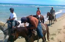 Puerto Plata: Sunset Beach Horseback Riding