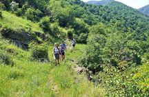 Lori Canyon Vacations