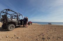 Buggy trip in makadi