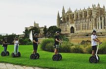 All City and Sea Segway Tour
