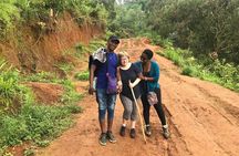 Materuni Waterfalls & Coffee Tour
