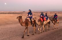  Quad bikes & Camel in Agafay Desert with lunch 