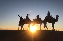 AGAFAY Historical Desert Dinner Sunset Camel Ride Hotel Transfer 