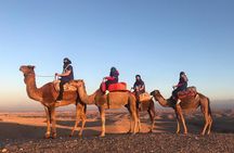 AGAFAY Historical Desert Dinner Sunset Camel Ride Hotel Transfer 