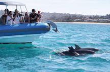 Great Value North Goa Tour