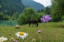 7 Alpine Wonders- Day Tour Bled, Soca valley, Slovenia 