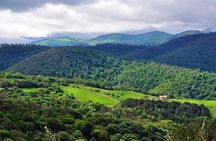 Private Guided Tour to Garni, Geghard, Sevan and Dilijan