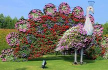 Dubai Miracle Garden with private round trip transfers