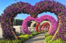 Dubai Miracle Garden with private round trip transfers