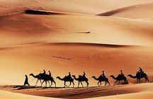 Private Morning Desert Safari