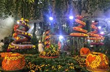 Dubai Miracle & Butterfly Garden Tour with private round trip transfers