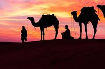 Private Morning Desert Safari