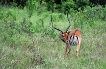 Lake Naivasha and Crescent Island National Park