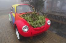 Round trip Transfer from Danang to Ba Na hills for Golden Bridge