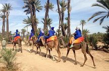 ATV Quad biking in Marrakech desert palmgrove