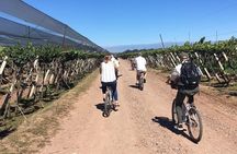 Wineries biking tour in Chacras de Coria - 2 wineries