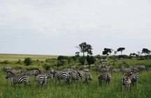  3 Days Masai Mara