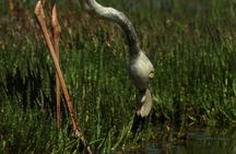 Sandwich Harbour & Pelican Point Full Day Tour