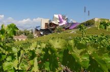 Rioja wine tour: wineries and Laguardia from Pamplona