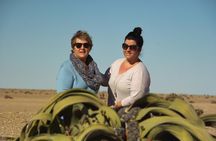 Swakop River Valley & Spitzkoppe Full Day 4x4 tour from Walvis Bay