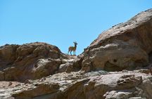 Swakop River Valley & Spitzkoppe Full Day 4x4 tour from Walvis Bay