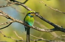 Swakop River Valley & Spitzkoppe Full Day 4x4 tour from Walvis Bay