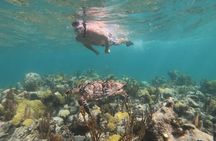 Afternoon Half Day Cruise from Providenciales with Snorkeling and Iguana Island