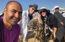 Half day private tour giza pyramids, great sphinx and camel ride 