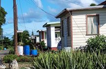 The Real Barbados 6 hour Island Tour