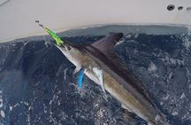 Private Deep Sea Fishing 1/2 day PM Charter on Angler Management