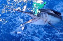 Private Deep Sea Fishing 1/2 day PM Charter on Angler Management