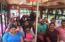 Mexico City in a private tour. 