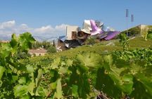 Rioja Wine Tour: Winery & Traditional Lunch From Pamplona