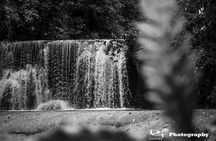 Black River Safari and YS Water Falls 
