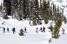 Mt. Rainier Day Trip from Seattle
