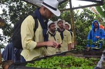 Salentina Immersion in the PCC Coffee Cultural Landscape