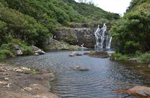 Les septs Cascades 

Tamarind Falls