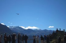 Colca Full Day