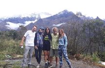 Colca Full Day