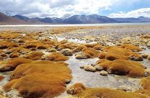 Private Expeditions Laguna Lejía and Geyser Solitario
