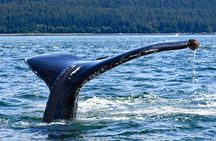 Juneau Lighthouse Tours - Whale watching & Lighthouse Combo