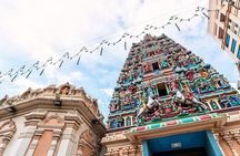 Airport Layover: Kuala Lumpur Full-Day Tour