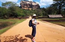 Sigiriya and Dambulla Day Tour from Kandy (All Inclusive)