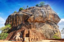 Sigiriya and Dambulla Day Tour from Kandy (All Inclusive)