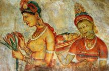 Sigiriya and Dambulla Day Tour from Bentota (All Inclusive)